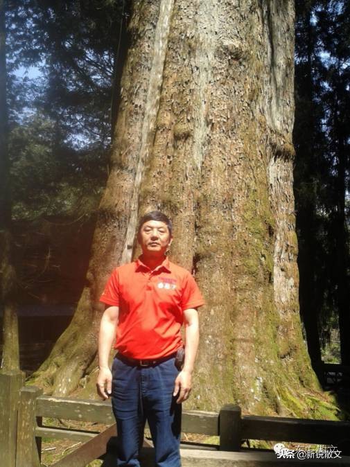 神木被说成阿里山的宝，它的神奇之处到底在哪里