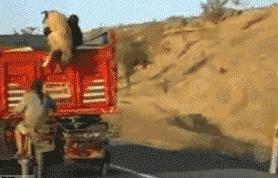 上厕所没有厕纸只能用绳子,上厕所没有卫生纸能用吗