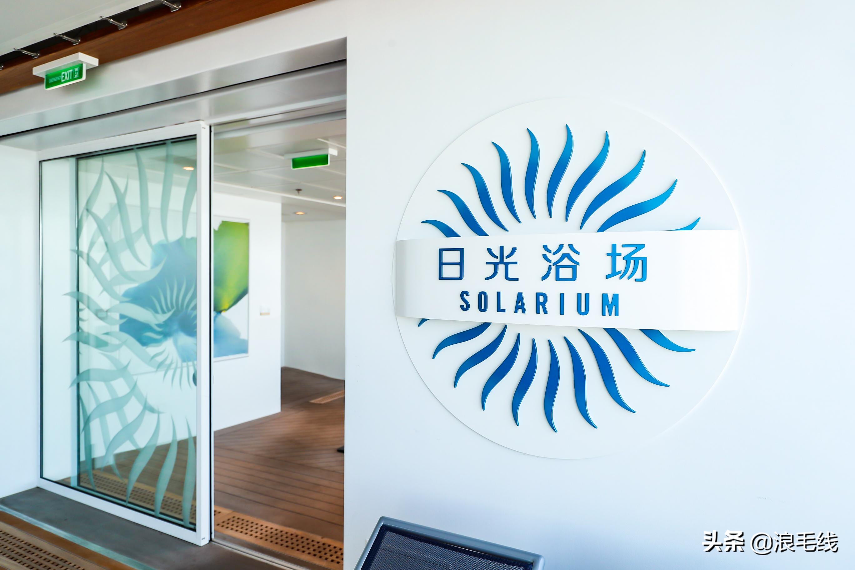 趁你还年轻，趁他还未老，我的8天7晚光谱号游轮行