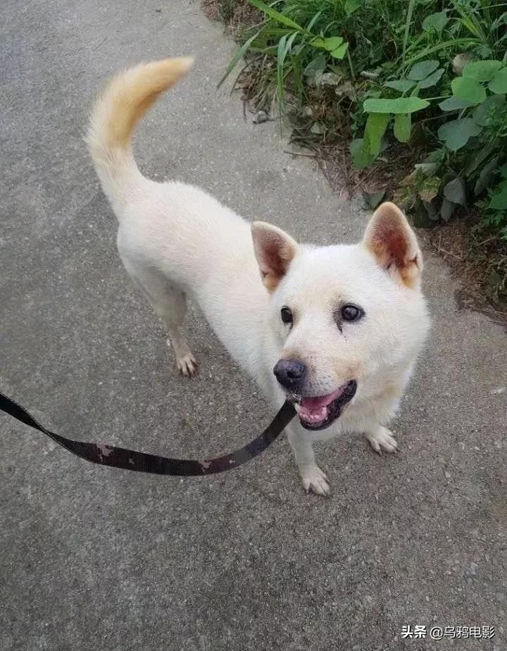 b站必看的综艺,b站能看的综艺推荐