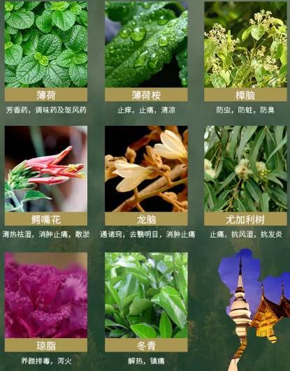 蚊子咬你都有哪些原因,蚊子咬你的真正原因是什么