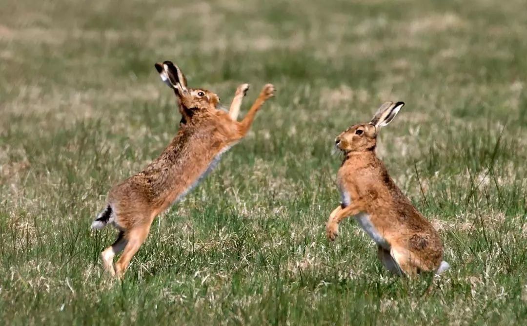 新发现：卵子会对某些人的精细胞更加偏爱，甚至可为其“开后门”