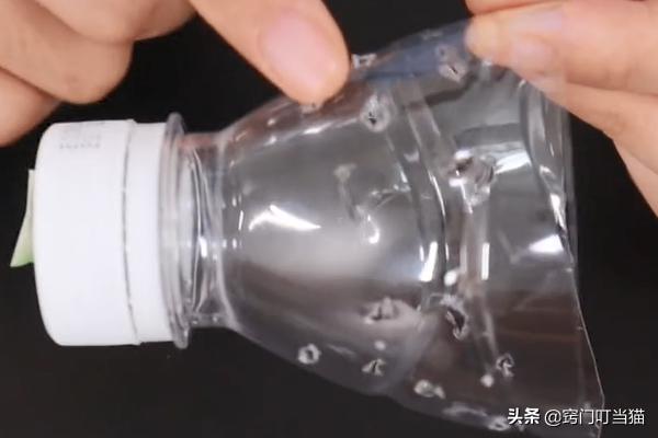 怎么灭蟑螂成功率最高,灭蟑螂误区及正确的灭蟑螂方法