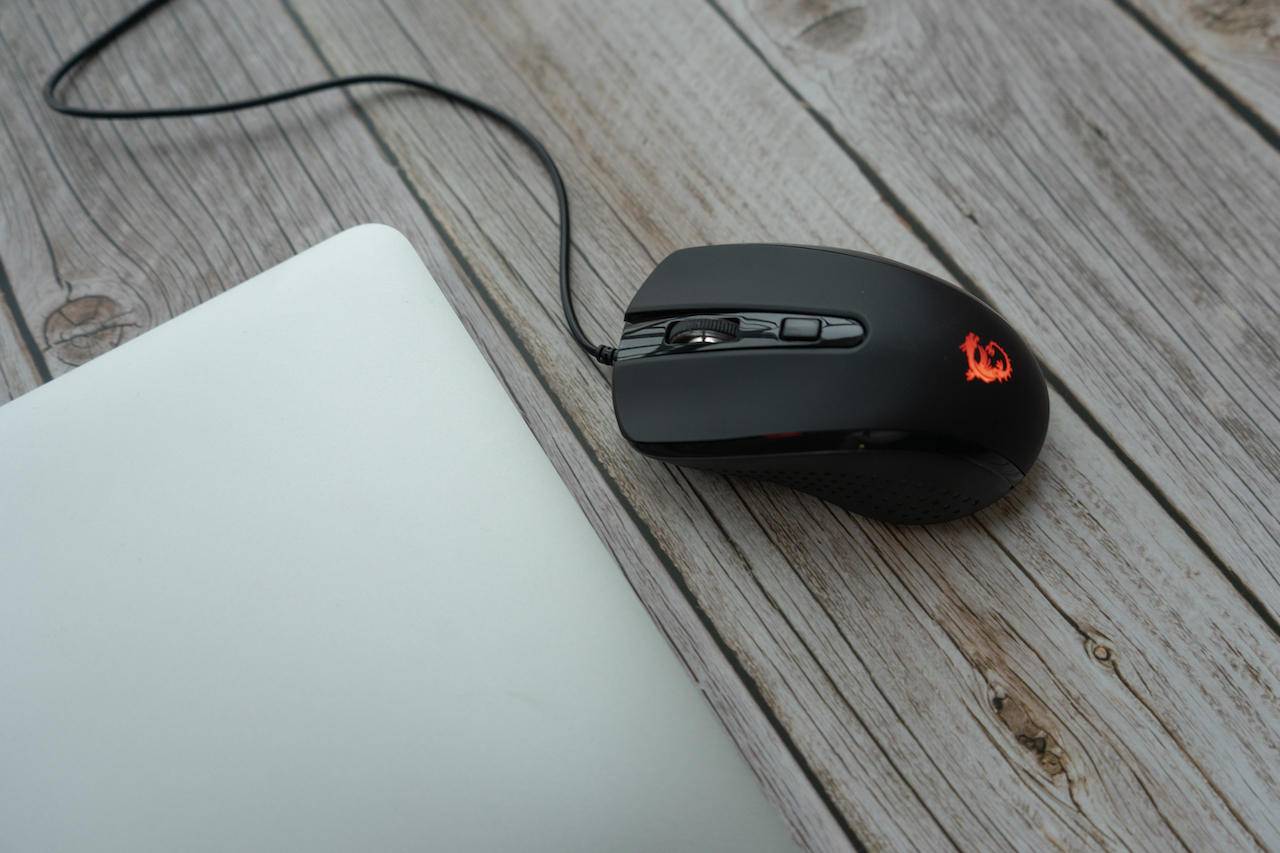 只买对的不买贵的，白菜价鼠标一样有料