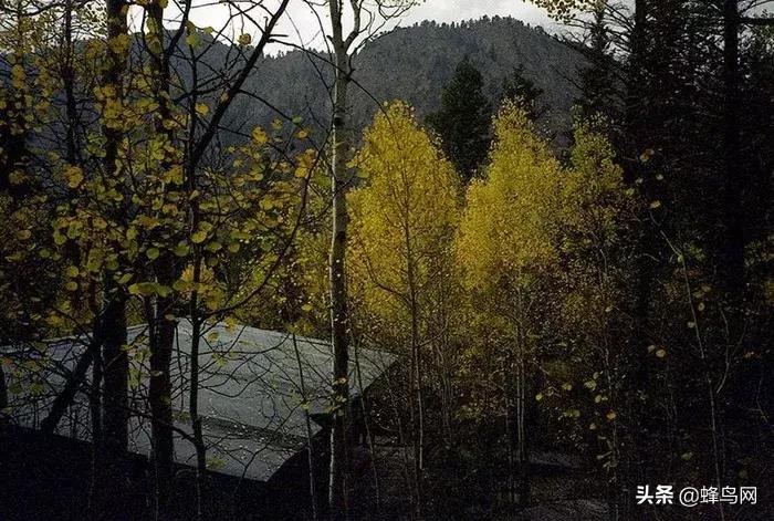 已过期的胶卷,贪便宜买相机