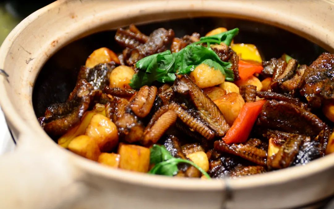 海错图这本书记录的什么,海错图中的海鳝