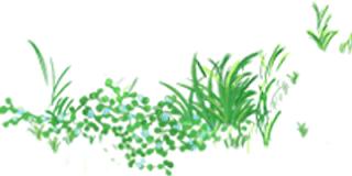 美化校园助力双创共创中国梦图片,美化校园助力双创共创