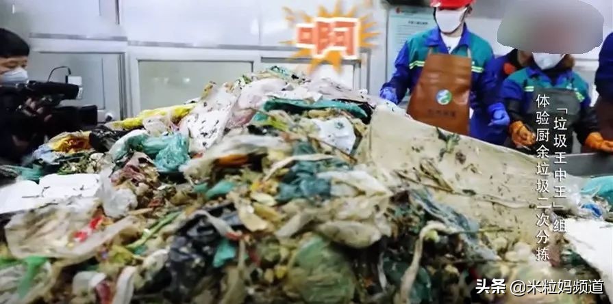 全国人看上海,大家都在关注垃圾分类