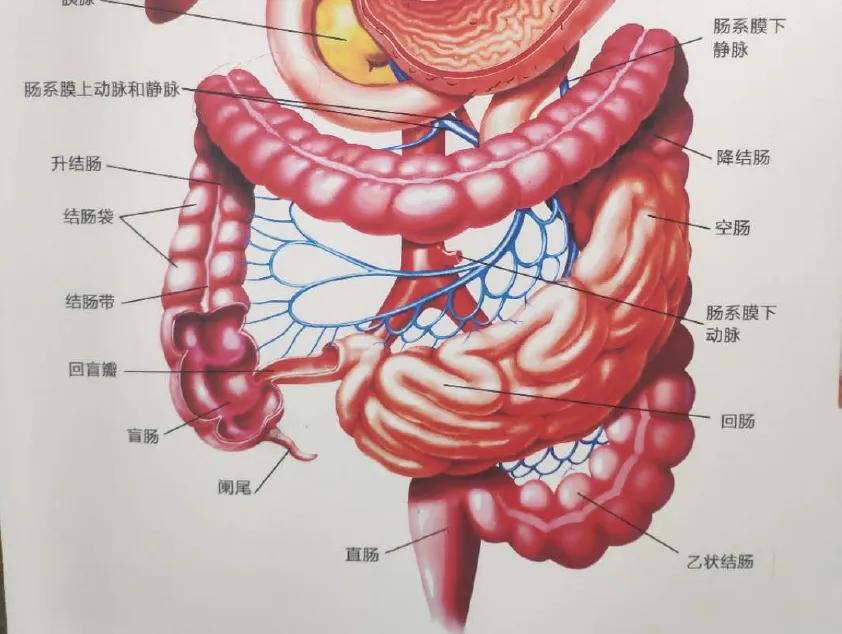 pd1副作用与疗效的关系,pd1副作用明显可以用pdl1吗