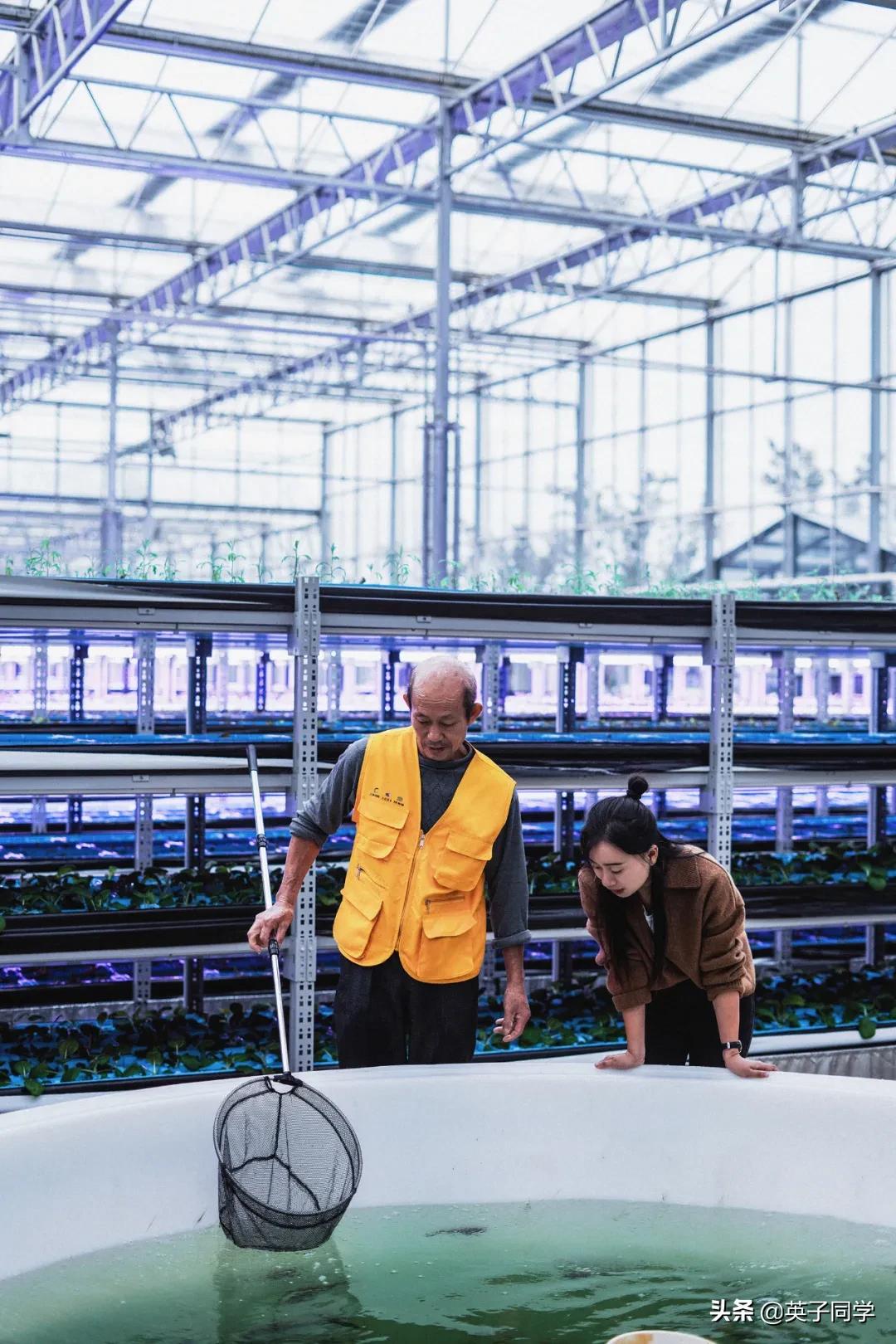 南昌农家乐采摘一日游,南昌采摘农家乐