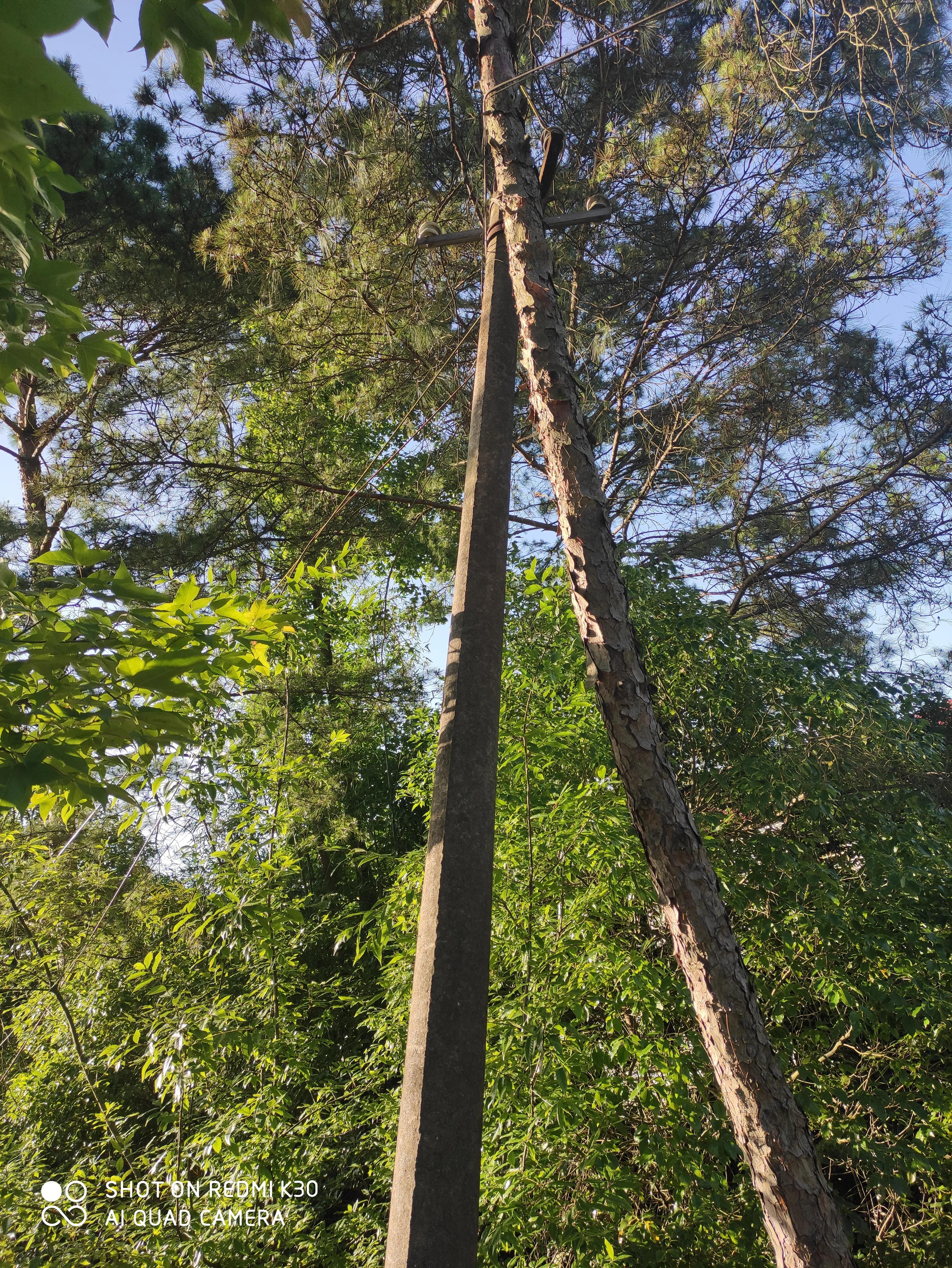 “他问你要烟酒了吗”?简单的电话回访,却防止了百姓的财产损失