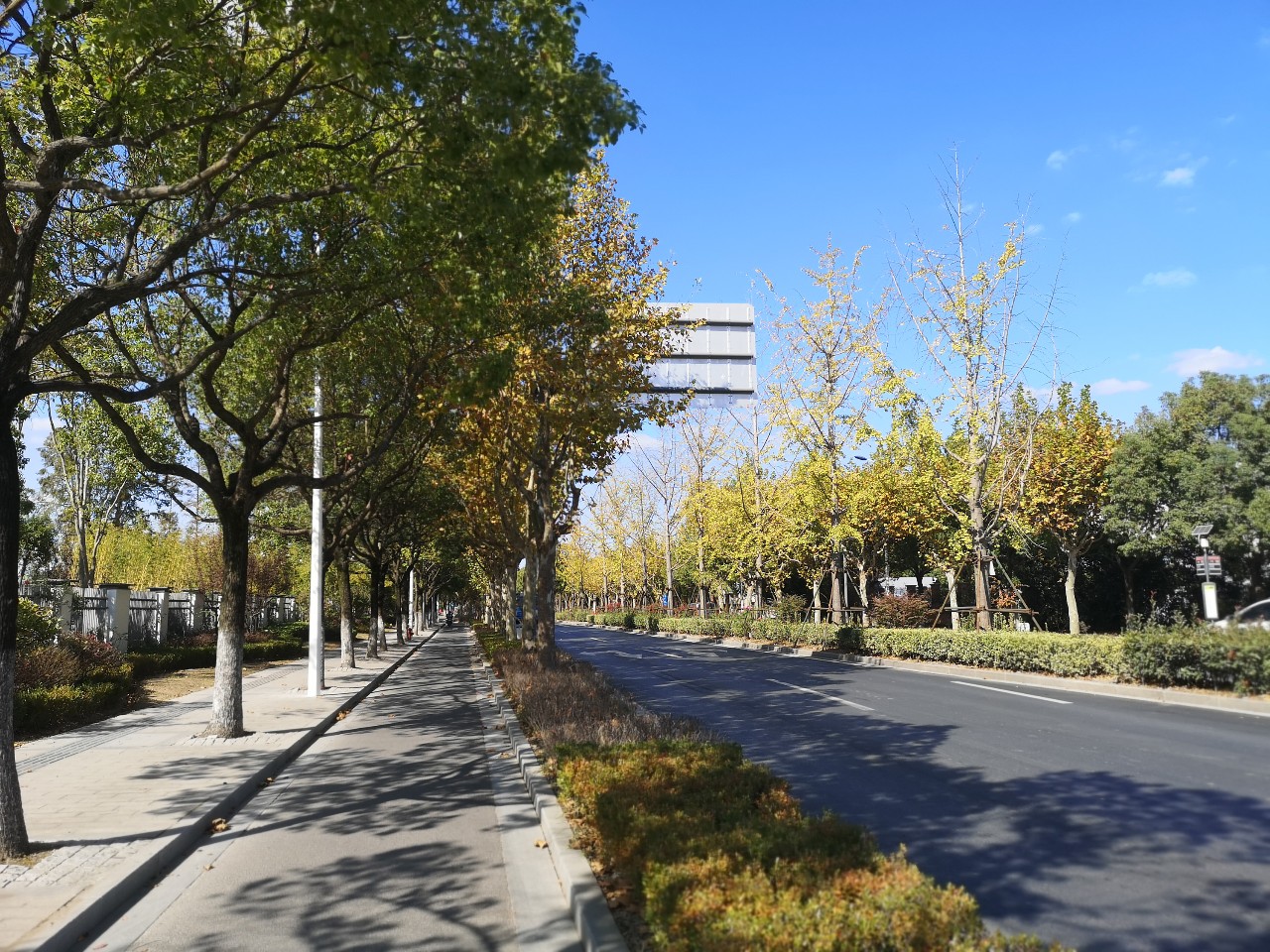 浦东唐镇位置好不好,上海浦东唐镇有什么发展