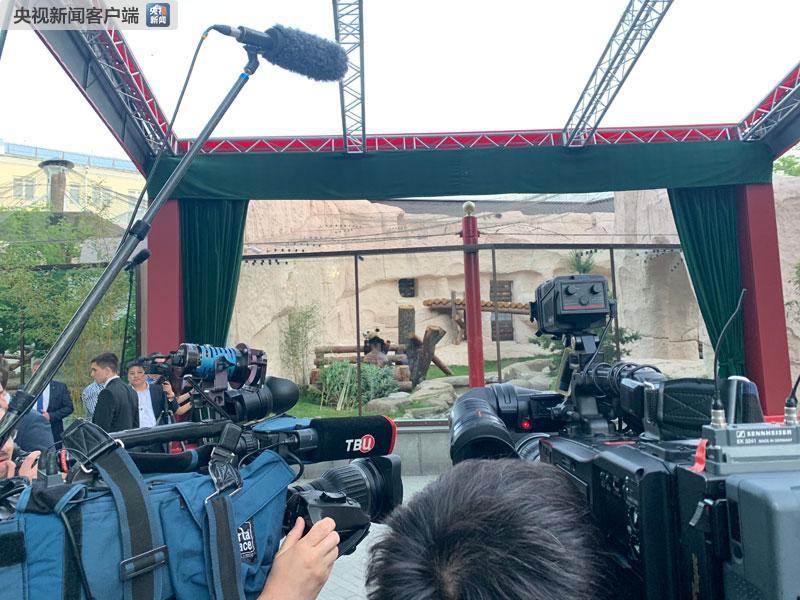 时政新闻眼｜习*平近**访俄首日，这些亮点点亮中俄关系新时代