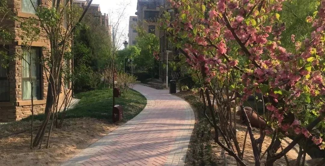 实探新楼市,坤宁说房值得买吗