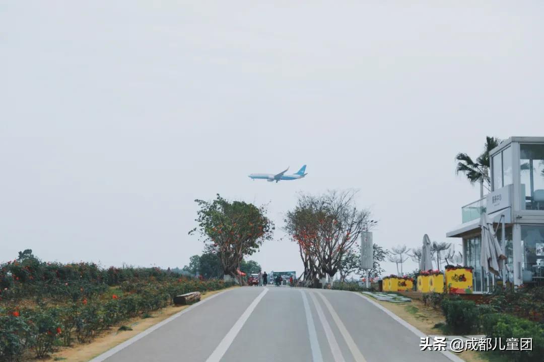 双流空港体育公园看飞机攻略,周末去空港花田