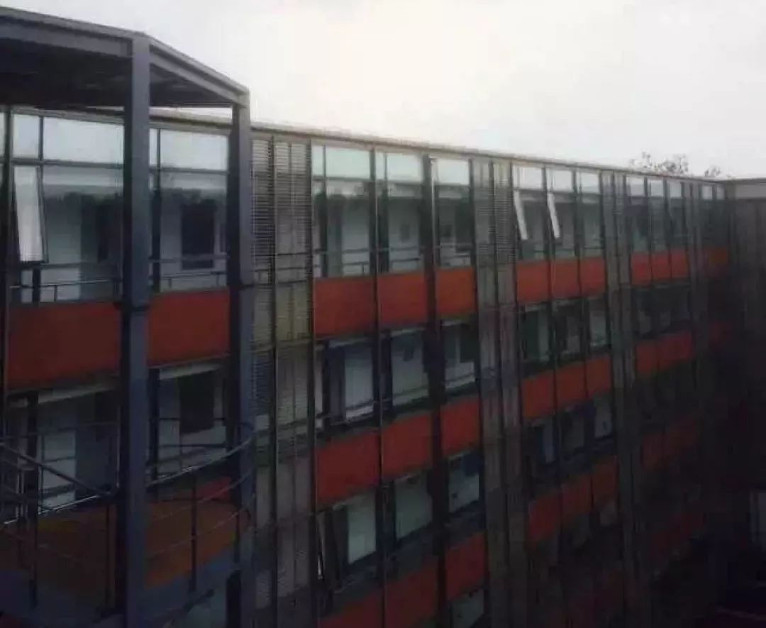 20年来第一次亲嘴，啵一口就跑了|16个巨甜瞬间，看完就恋爱了