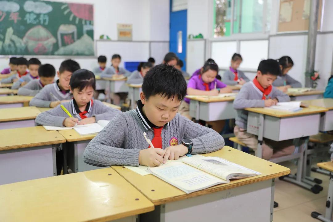 郑州金水区文化绿城小学详情介绍,新建路小学夯实五项管理