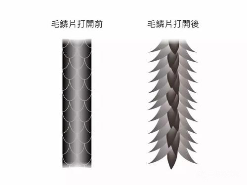 头发养护基础篇：史上最全洗头教程，告诉你如何正确的洗头