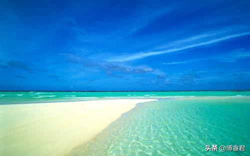 中大博睿教育机构官网在哪个区,中大博睿教育是正规培训机构吗