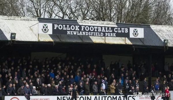 狗看足球比赛,狗子看踢足球激动