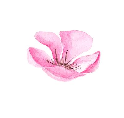 母亲节礼品推荐大全,母亲节送礼好物推荐