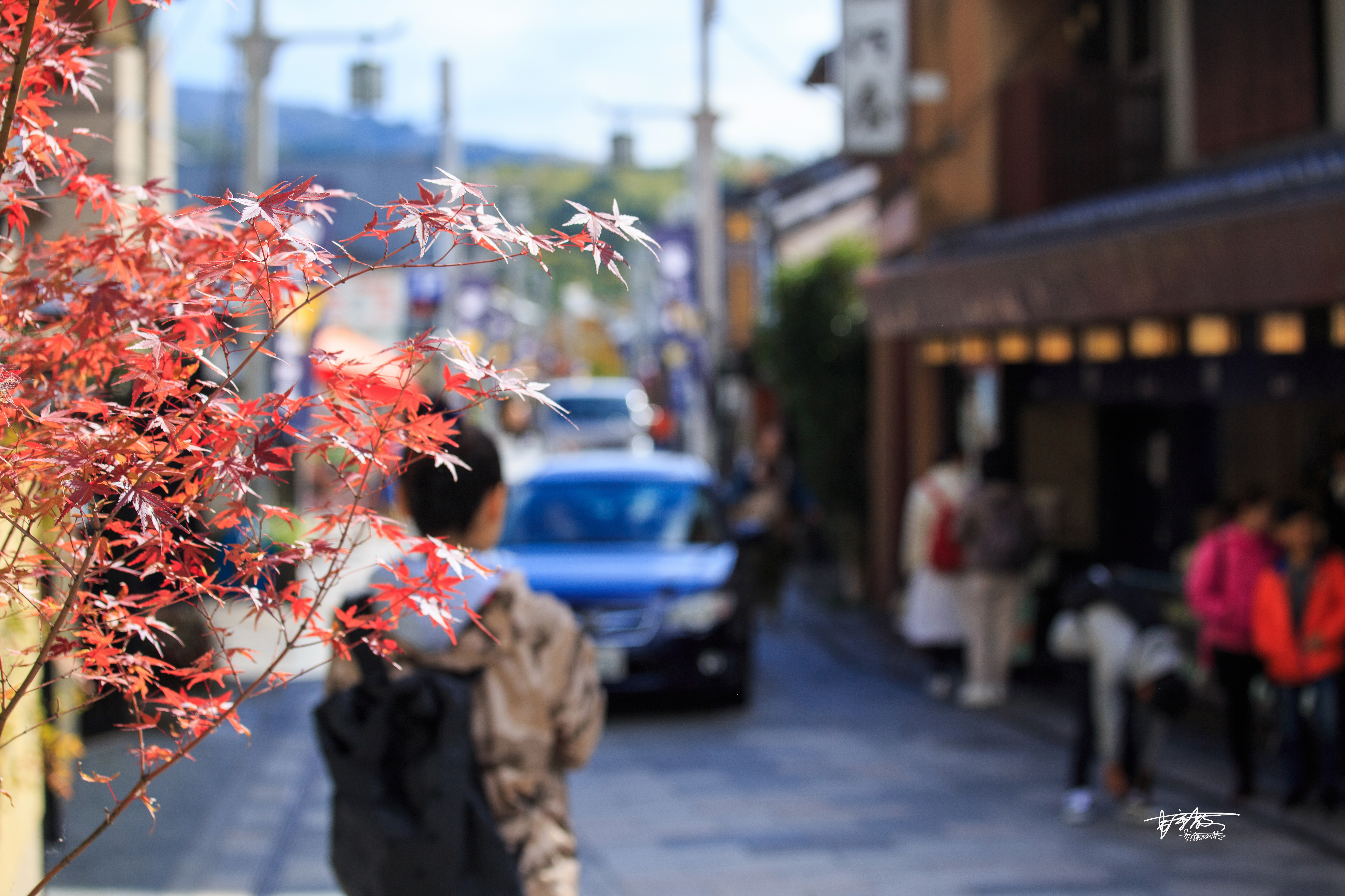 《万叶集》里的荒芜旧宫，千寻与无脸男走过的桥