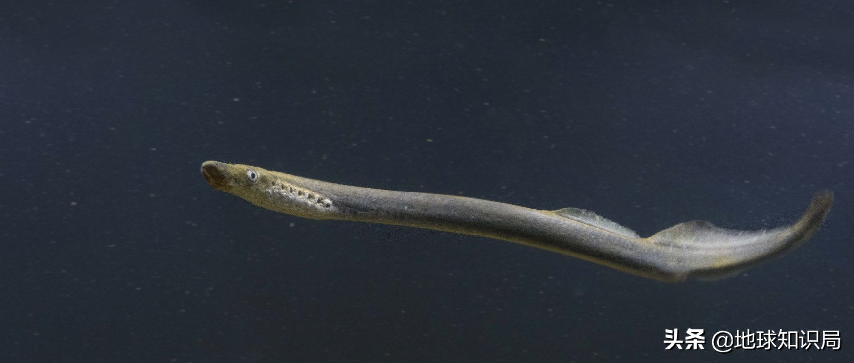 全球旅行攻略干货,全球旅行不为人知的秘密