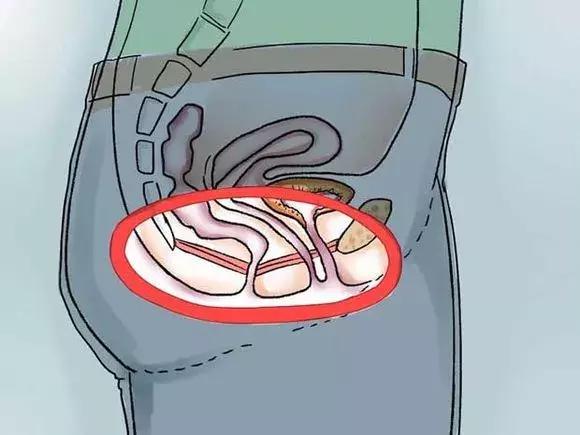 孕妇瑜伽凯格尔运动正确教程,孕期凯格尔运动盆底肌锻炼视频