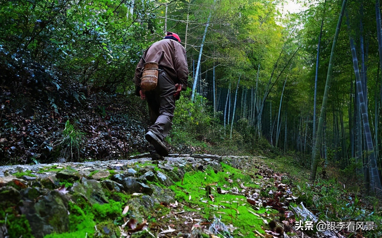 横岗山登山,横岗山天柱峰