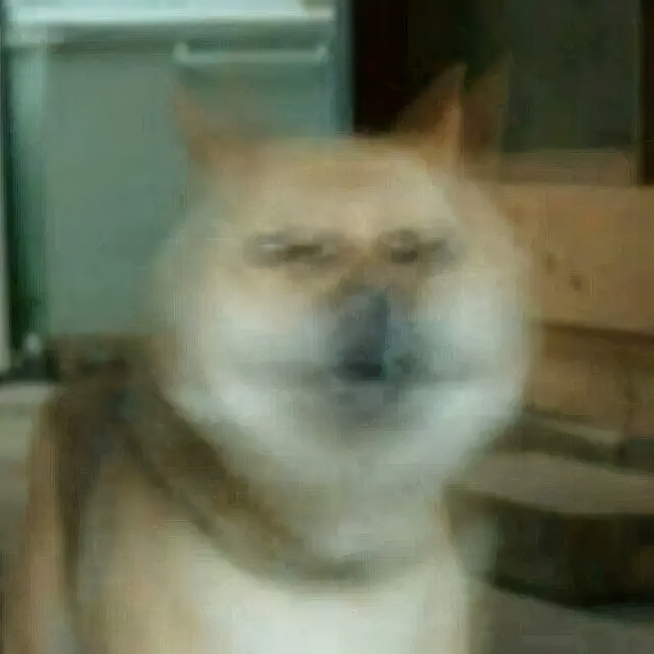 高科技能帮人找真爱吗？5个故事颠覆你的三观