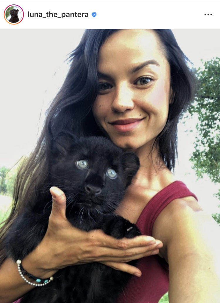 我的萌宠鸟类,我的萌宠是只牛原版