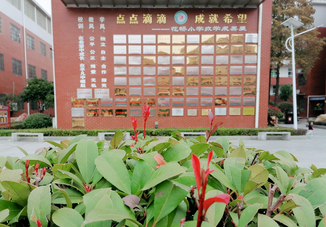 花桥镇花桥小学运动会开幕式,武穴市花桥中学运动会