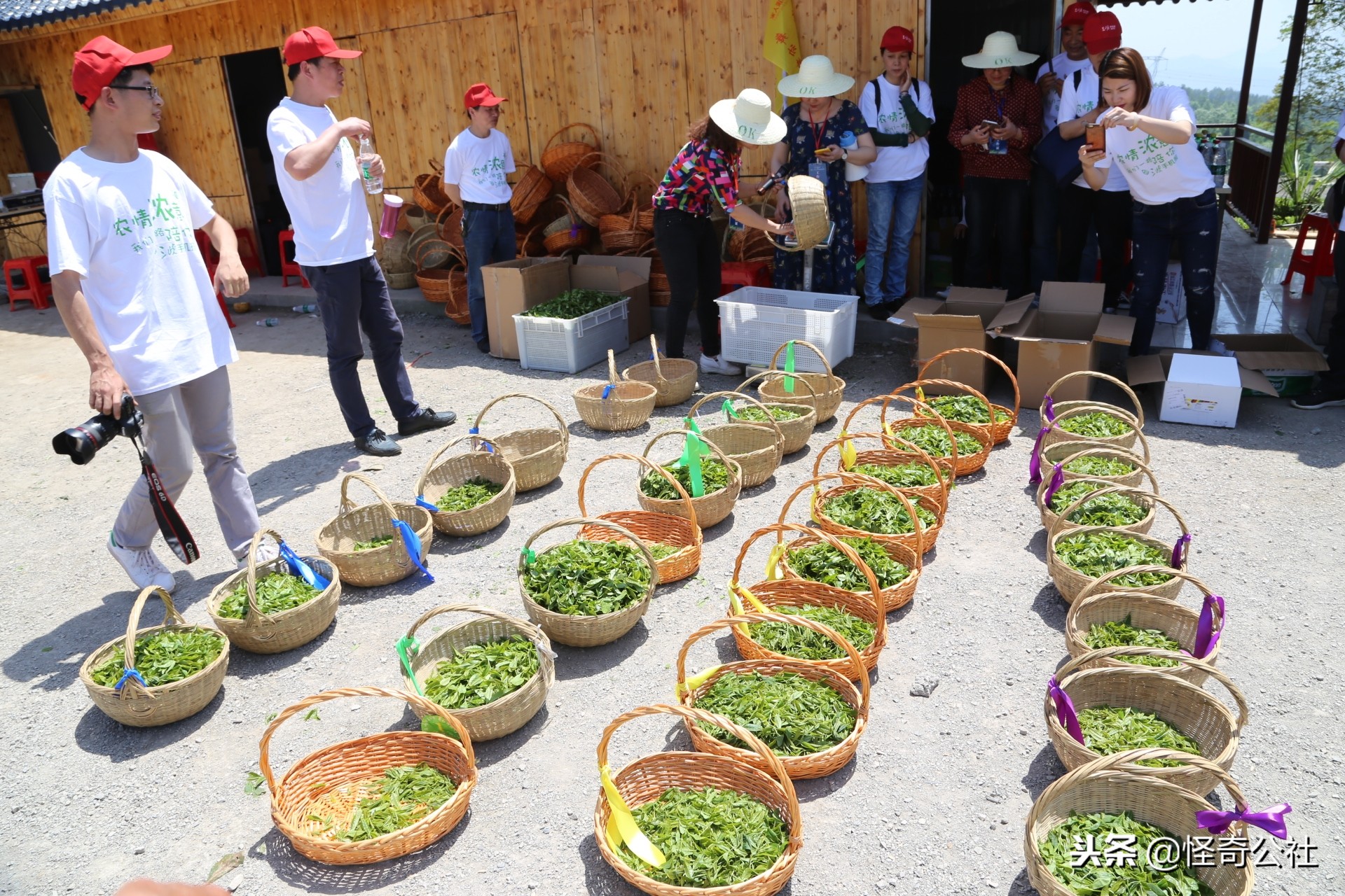 享誉世界的百年品牌——宜昌宜红，“万里茶道”上的新亮点