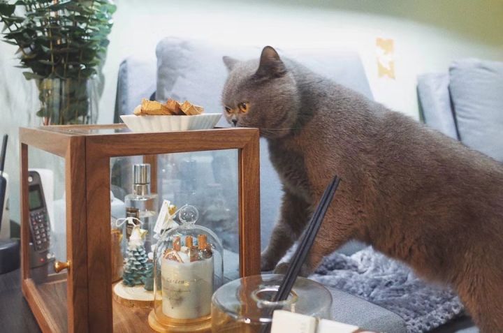 圣诞节礼物总有一款适合你,圣诞礼物送女朋友什么比较好