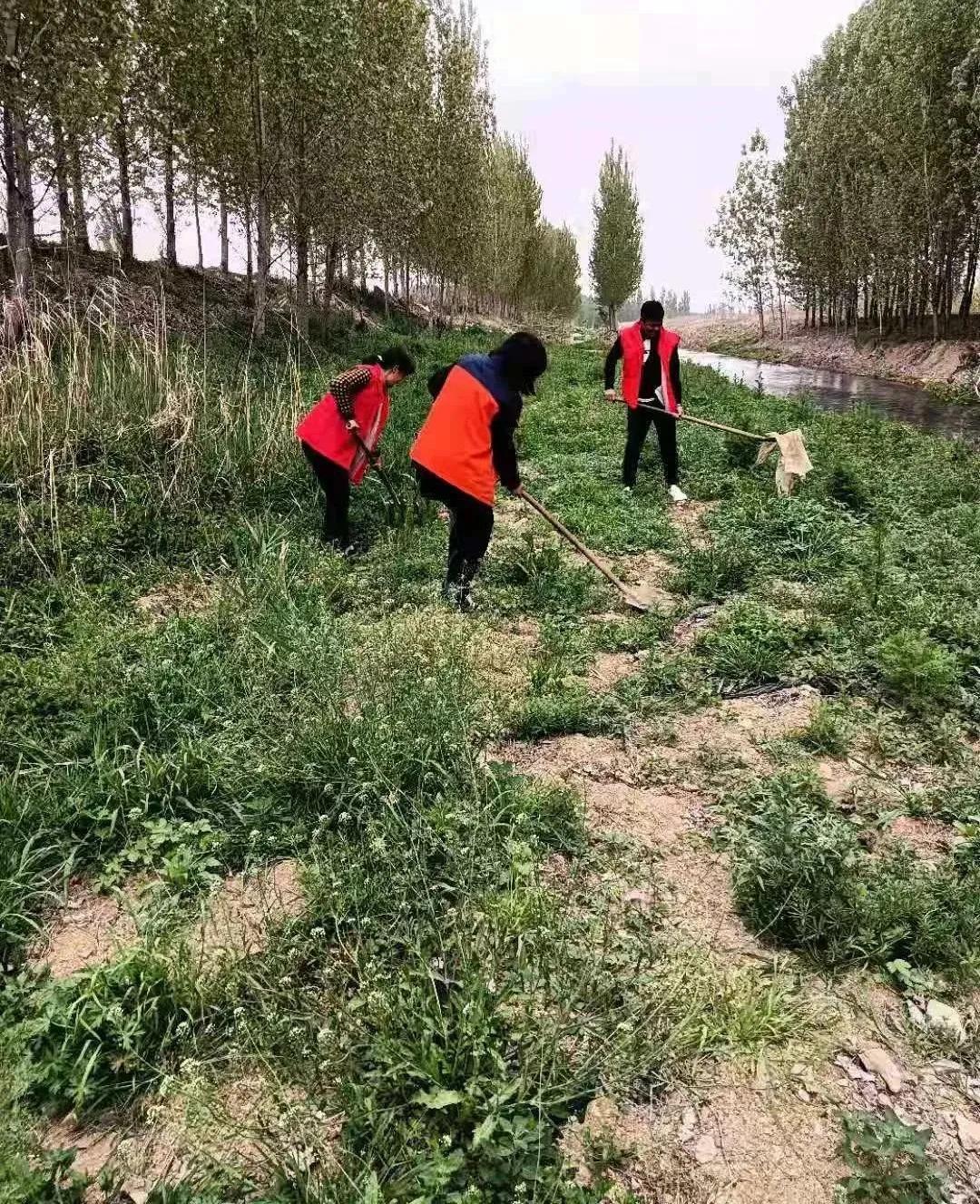 4月党员志愿服务活动,4月份党员开展志愿服务活动内容
