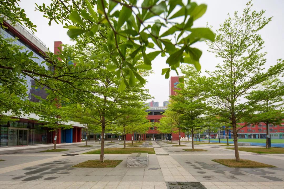 深圳建文外国语学校补录,深圳市建文外国语学校是否转公立