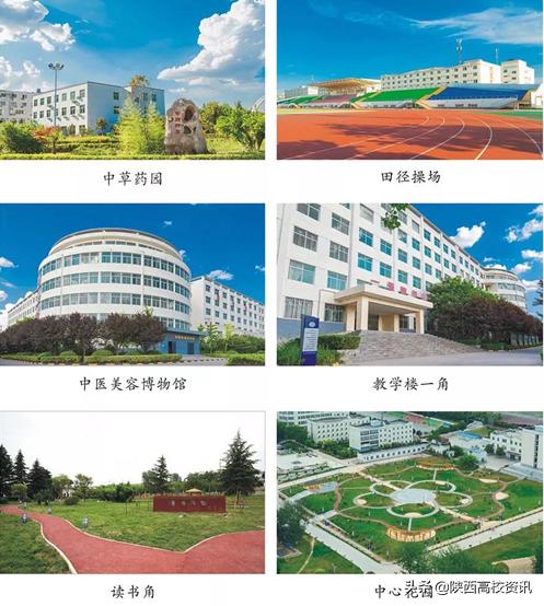 西安海棠职业学院怎样报名,西安海棠职业学院怎么报名
