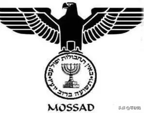 为何每个公司都需要一个“喷子”?