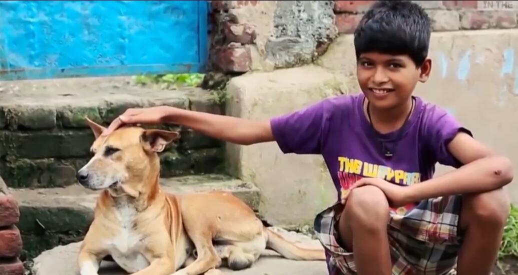 10岁孩子喝奶上瘾,为什么小孩喝牛奶上瘾