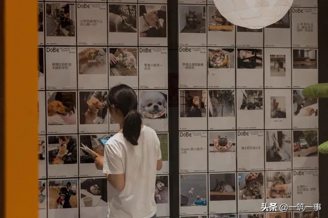 创作灵感帮助需要帮助的人,激发无限灵感与创意