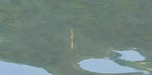 十个最好的浮漂,14种漂相解析100%提高你的中鱼率