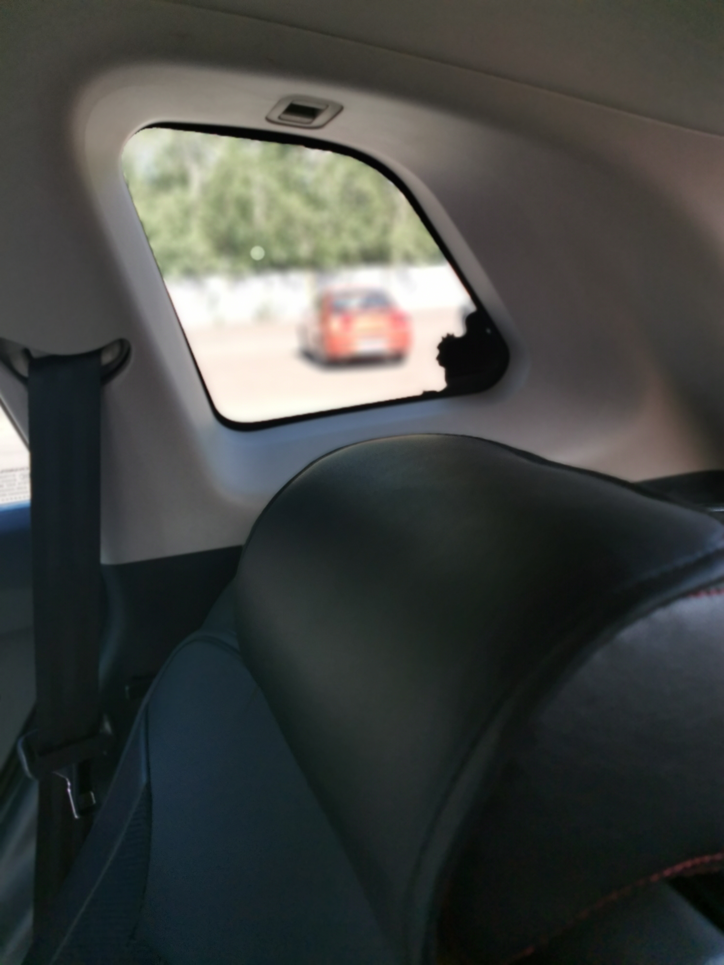 新奇好玩的公园,西青郊野公园开放最新通知