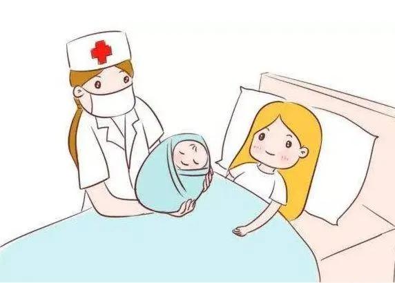 快来看看树袋宝宝的分娩育儿百科