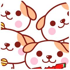 厦门鹭江新城小学,厦门市今年新建小学有哪些