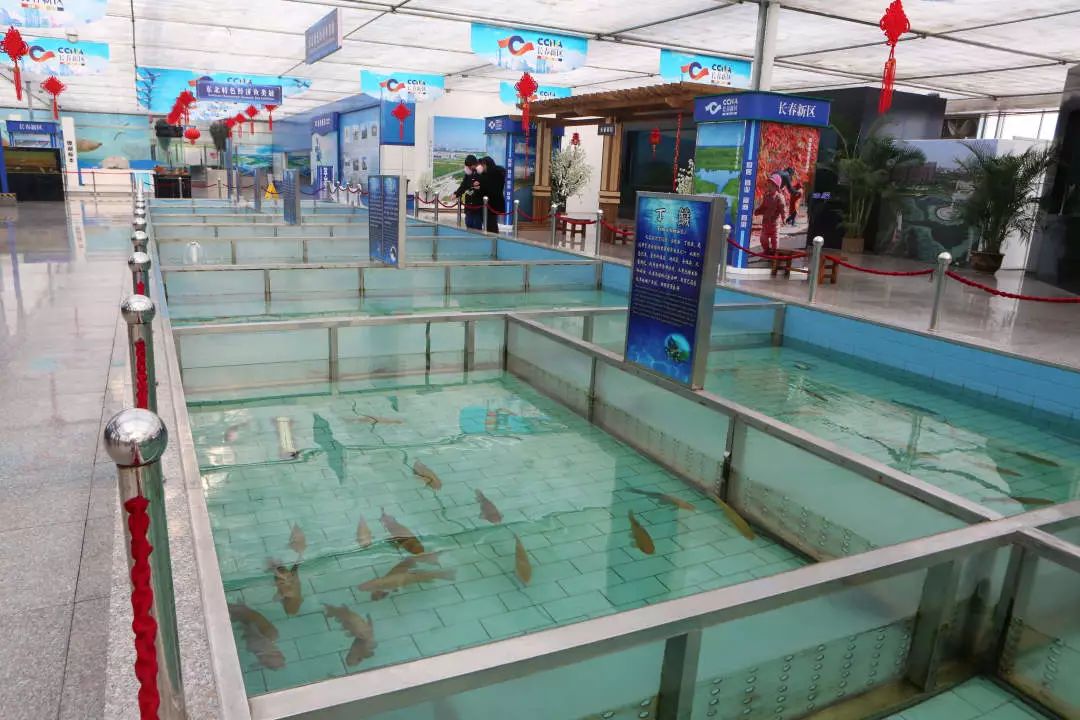 长春农博会游玩攻略,过年看农博会