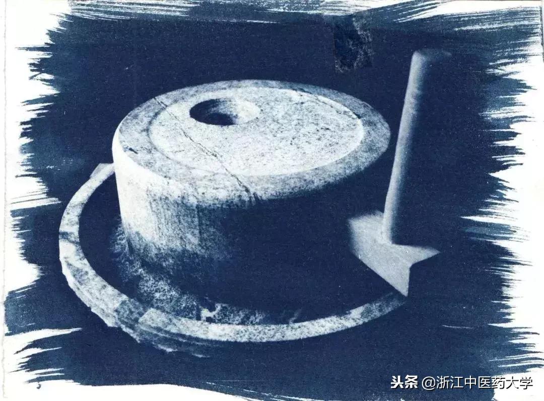 用镜头诉说中医药之美