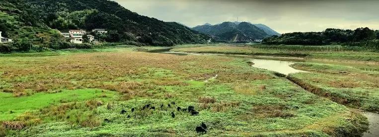 我的祖国快闪宣传片,2022年贵阳快闪我和我的祖国