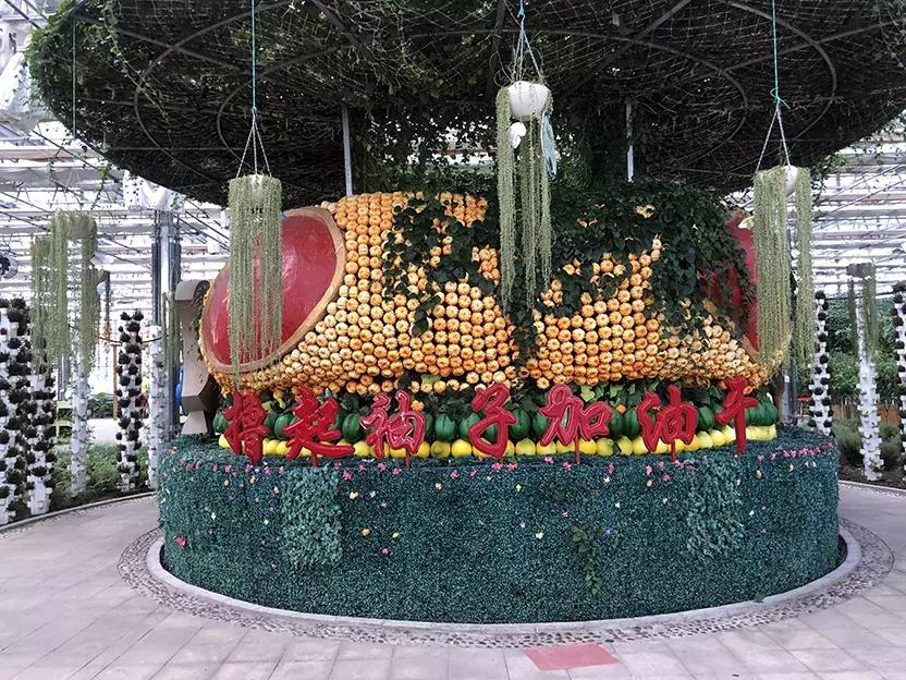 丹东沿海干净小岛旅游攻略,丹东旅游特色美食攻略图