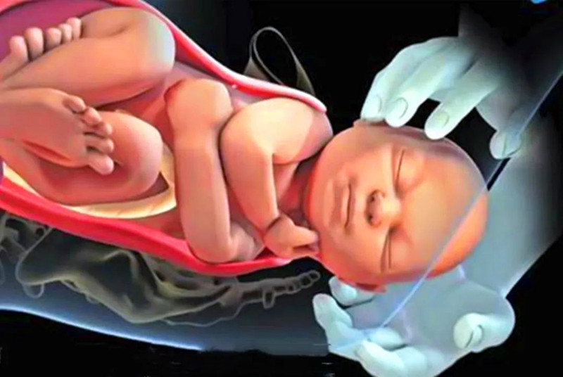 为什么人类分娩比其他动物更痛苦,为什么动物分娩比人容易分娩