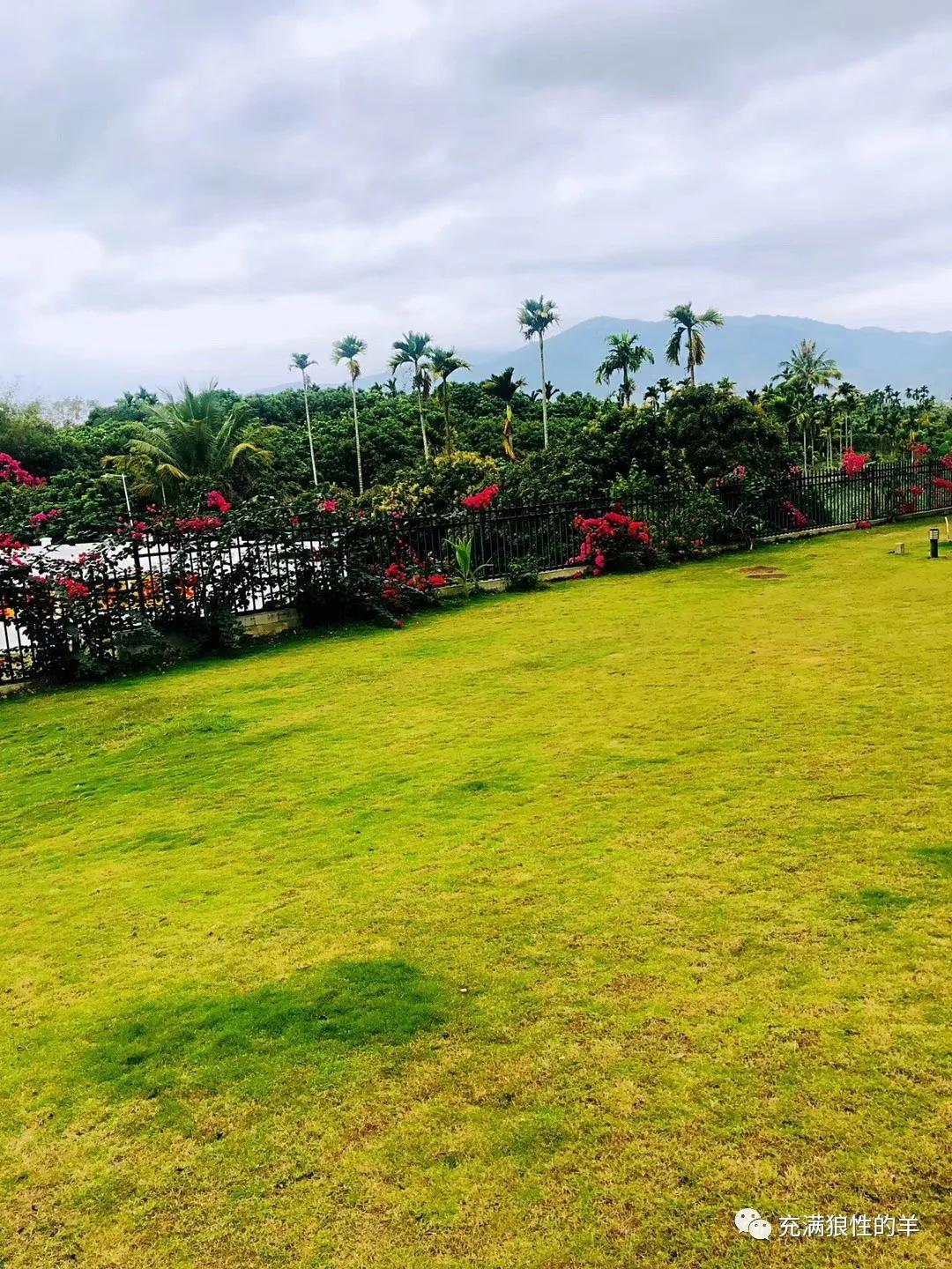 我在海南,海南桃源居的生活